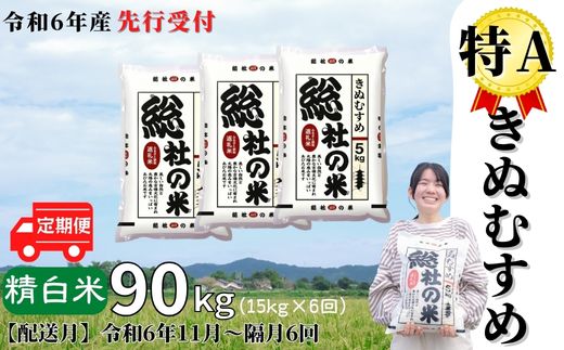 【ふるさと納税】米 定期便 先行予約 特A きぬむすめ 令和6年産 白米 90kg （15kg×6回）総社産米 選べ...