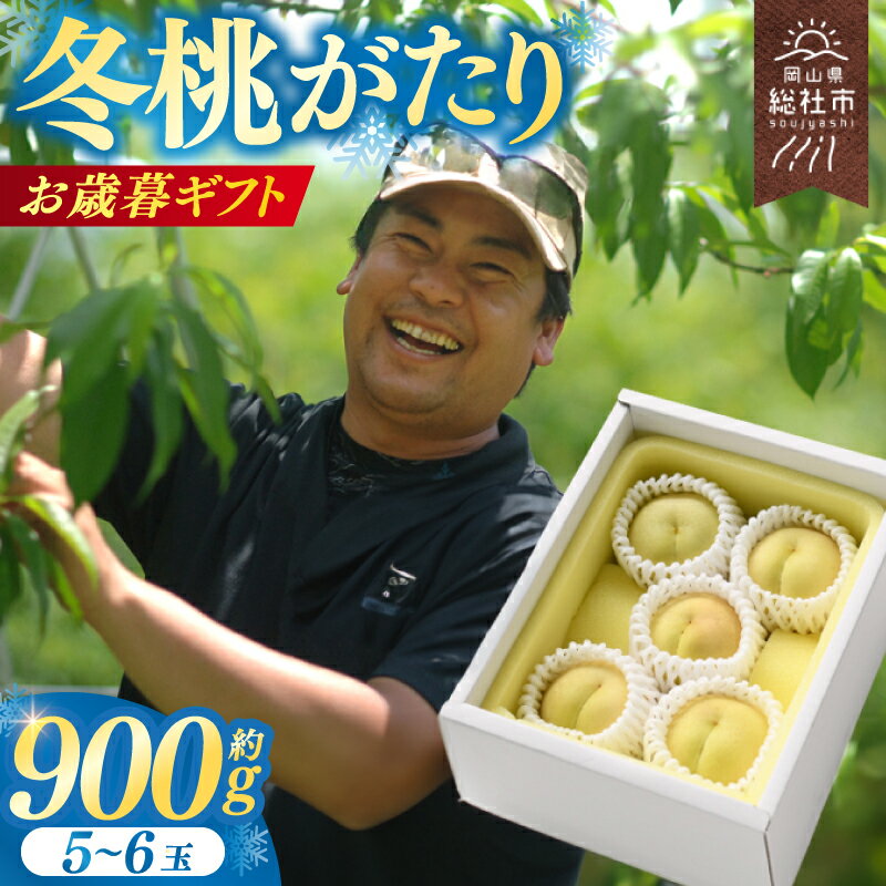 【ふるさと納税】 【お歳暮】 もも 桃 岡山県 白桃 冬桃がたり 約0.9kg 総社市産 岡山県総社もも生産組合 24-030-030のサムネイル