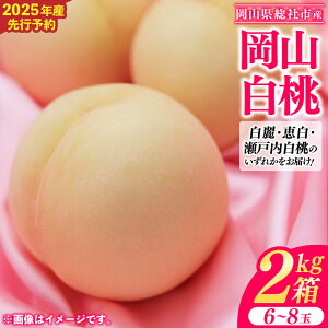 【ふるさと納税】岡山白桃 2kg箱 岡山県 総社市産 2025年産先行予約 6~8玉 8月上旬~8月下旬配送 25-020-004