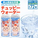 【ふるさと納税】チュッピーウォーター24本入×1ケース 水 ミネラルウォーター 500ml 24本 1ケース 定期便 3ヶ月 039-008(4)