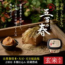 【ふるさと納税】味噌 みそ 味噌汁 玄米味噌 まるみ麹本店 五百の春 調味料 自然栽培 総社 そうじゃ 013-001