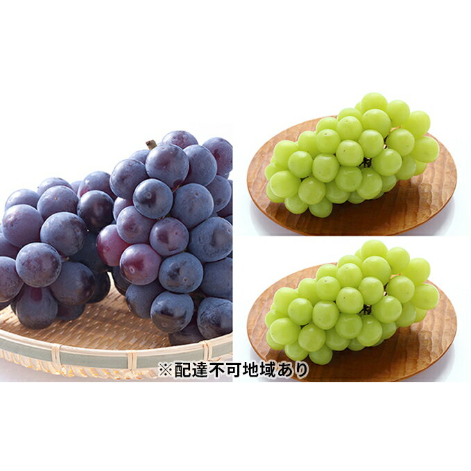 ぶどう
