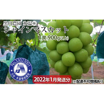 黒川農園 氷温(登録商標) シャインマスカット 1房(900g以上)●2022年1月発送分● 【果物類・ぶどう・マスカット・フルーツ・シャインマスカット】 お届け:2022年1月上旬〜2022年1月下旬