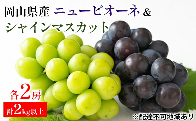 【ふるさと納税】ぶどう 2024年 先行予約 ニュー ピオーネ 2房 シャインマスカット 2房 合計2kg以上 マスカット ブドウ 葡萄 岡山県産 国産 フルーツ 果物 ギフト　【果物類 2kg以上 種なし 皮ごと】　お届け：2024年8月下旬～2024年10月上旬