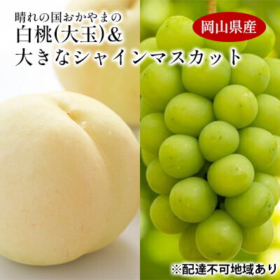 【ふるさと納税】桃 ぶどう 2024年 先行予約 晴れの国 おかやま の 白桃 大玉 1.5kg以上 4～6玉 大きな シャイン マスカット 1房900g以上 マスカット ブドウ 葡萄 岡山県産 国産 フルーツ 果物…