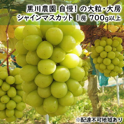 48位! 口コミ数「1件」評価「5」ぶどう 2024年 先行予約 黒川農園 自慢 ! の大粒 大房 シャイン マスカット 1房 700g以上 ブドウ 葡萄 岡山県産 国産 フル･･･ 