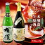 【ふるさと納税】櫻芳烈 本醸造「備中松山城」と生原酒「有漢」(720ml×2本) 【日本酒・お酒・アルコール】 11,000円