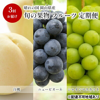 フルーツ 定期便 2024年 先行予約 晴れの国 旬の 果物 3回お届け便 岡山 白桃 2kg 5玉〜7玉 ニュー ピオーネ 4房 2kg以上 シャイン マスカット 4房 2.4kg以上 岡山県産 国産 セット ギフト [定期便・果物類] お届け:2024年7月中旬〜2024年10月下旬