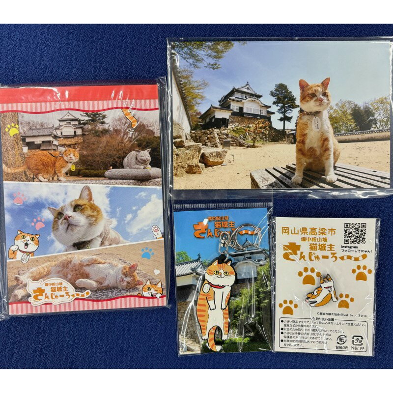 【ふるさと納税】さんじゅーろーグッズセット　【 雑貨 文房具 小物 詰め合わせ ネコ 実写 猫城主 ポストカード メモ帳 A6 サイズ ピンバッヂ ラバー キーホルダー 】