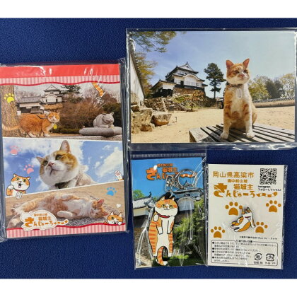 さんじゅーろーグッズセット　【 雑貨 文房具 小物 詰め合わせ ネコ 実写 猫城主 ポストカード メモ帳 A6 サイズ ピンバッヂ ラバー キーホルダー 】