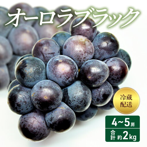 【ふるさと納税】2025年 先行予約 オーロラブラック 4~5房 合計約2kg 冷蔵配送 ぶどう 葡萄 フルーツ 果物 岡山 岡山のぶどう 食後 デザート 産地直送 大粒 爽やか 食べやすい お届け:2025年8月中旬~2025年9月下旬 【ふるさと納税】2025年 先行予約 オーロラブラック 4~5房 合計約2kg 冷蔵配送 ぶどう 葡萄 フルーツ 果物 岡山 岡山のぶどう 食後 デザート 産地直送 大粒 爽やか 食べやすい お届け:2025年8月中旬~2025年9月下旬