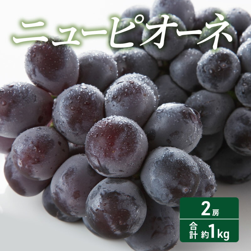 【ふるさと納税】 2025年 先行予約 ニューピオーネ 2房 合計約1kg 常温配送 ぶどう 葡萄 フルーツ 果物 岡山 岡山のぶどう 食後 デザート 産地直送 大粒 食べ応え ちょうどよい甘さ 種無し お届け:2025年8月下旬~2025年9月下旬