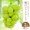 【ふるさと納税】2025年 先行予約 瀬戸ジャイアンツ 2房 合計約1kg 常温配送 ぶどう 葡萄 フルーツ 果物 岡山 岡山のぶどう 食後 デザート 産地直送 皮ごと 酸味が少ない 爽やか 甘い お届け:2025年10月中旬~2025年11月上旬