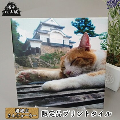 備中松山城 猫城主 さんじゅーろープリントタイルB　【 インテリア 置物 猫 猫好き 猫柄 机の上 玄関 テーブルの上 皿立て付き 癒し かわいい 動物 動物モチーフ 】