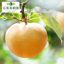 【ふるさと納税】梨 2025年 先行予約 あたご梨 4~9玉 合計約4kg 化粧箱【11月下旬~12月中旬頃発送】 ナシ なし 岡山県産 国産 フルーツ 果物 ギフト 石原果樹園 繊細な味 ジャンボ梨 お届け:2025年11月15日~2025年12月20日