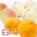 【ふるさと納税】フルーツ 定期便 2025年 先行予約 岡山 の 桃 食べ比べ 定期便 3回コース もも モモ 岡山県産 国産 フルーツ 果物 セット ギフト ...