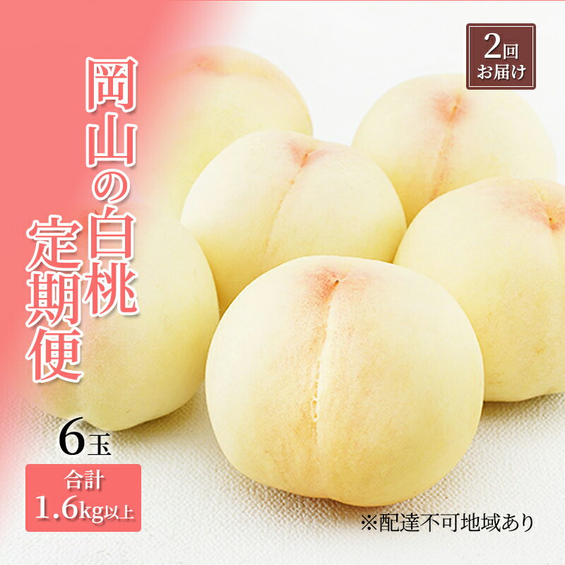【ふるさと納税】桃 定期便 2025年 先行予約 岡山 の 白桃 6玉 合計1.6kg以上×2回 お届け 化粧箱入り もも モモ 岡山産 国産 フルーツ 果物 ギフト お届け:2025年7月上旬~2025年8月上旬