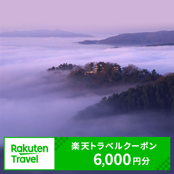 岡山県高梁市の対象施設で使える 楽天トラベルクーポン 寄附額20,000円（6,000円クーポン）　