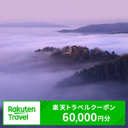 岡山県高梁市の対象施設で使える 楽天トラベルクーポン 寄附額200,000円（60,000円クーポン）　【高梁市】