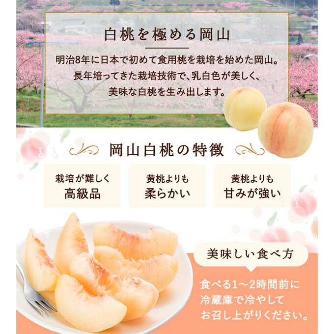 【ふるさと納税】桃 2025年 先行予約 白桃 8玉（2kg以上） 等級：ロイヤル 化粧箱入り もも モモ 岡山県産 国産 フルーツ 果物 セット ギフト 　お届け：2025年7月上旬～2025年8月中旬
