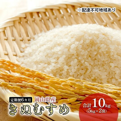 米 【 定期 便 6ヶ月 】 特Aランク きぬむすめ 10kg （5kg×2袋） 令和5年産 こめ コメ 白米 岡山県産　【定期便・高梁市】　お届け：お届けまで3週間～1ヶ月前後かかる場合がございます。