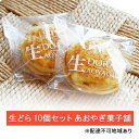 【ふるさと納税】生どら 10個 セット あおやぎ菓子舗 スイーツ 生菓子 どら焼き