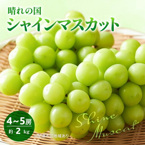 【ふるさと納税】早期受付 ぶどう 晴れの国 シャインマスカット 2kg (4~5房) 化粧箱入り 岡山県 高梁市 ブドウ 葡萄 果物 フルーツ お届け:2025年10月1日~2025年10月20日 【ふるさと納税】早期受付 ぶどう 晴れの国 シャインマスカット 2kg (4~5房) 化粧箱入り 岡山県 高梁市 ブドウ 葡萄 果物 フルーツ お届け:2025年10月1日~2025年10月20日