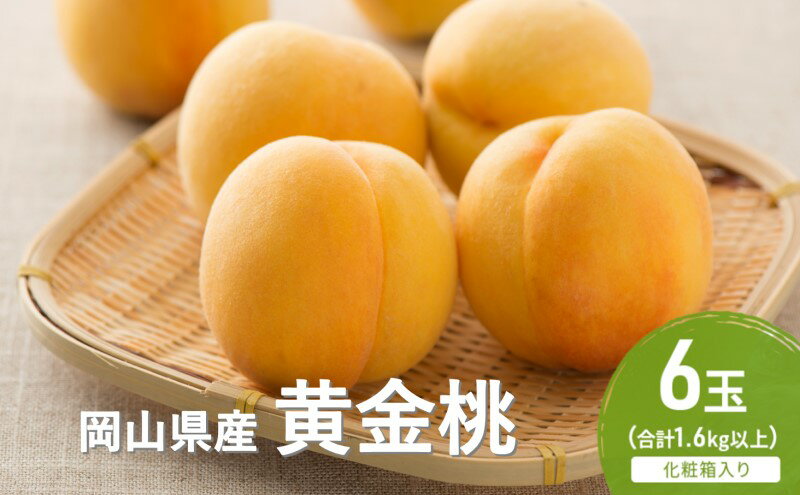 【ふるさと納税】桃 2025年 先行予約 黄金桃 6玉(1.6kg以上) 化粧箱入り もも モモ 岡山県産 国産 フルーツ 果物 セット ギフト　お届け：2025年8月下旬～2025年9月中旬