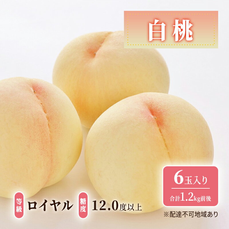 【ふるさと納税】桃 【2025年 先行予約】 白桃 等級: ロイヤル 糖度12.0度以上 6玉入り 合計1.2kg前後 もも 岡山県産 国産 フルーツ 果物 ギフト お届け:2025年7月上旬~2025年8月中旬