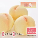 【ふるさと納税】桃 【2025年 先行予約】 白桃 等級: ロイヤル 糖度12.0度以上 3玉入り 合計600g前後 もも 岡山県産 国産 フルーツ 果物 ギフ...