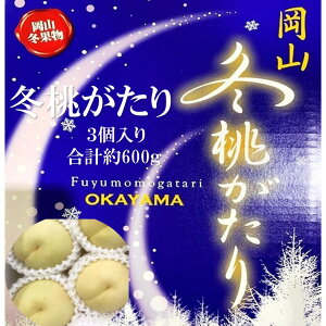 【ふるさと納税】桃 【2025年 早期受付】 冬桃がたり 3個入り 合計約600g もも 岡山県産 国産 フルーツ 果物 ギフト お届け:2025年11月20日~2026年1月6日