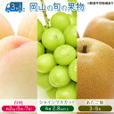 【ふるさと納税】フルーツ 定期便 【2025年 先行予約】 桃 ぶどう 梨 3回お届け 白桃 約2kg入り(5玉〜7玉) シャインマスカット 4房2.8kg以上...