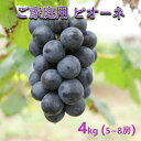 【ふるさと納税】ぶどう 【2025年 先行予約】 訳あり ご家庭用 ピオーネ 4kg(5〜8房) 葡萄 フルーツ 岡山 高梁市産 こあに葡萄園 お届け:2025...