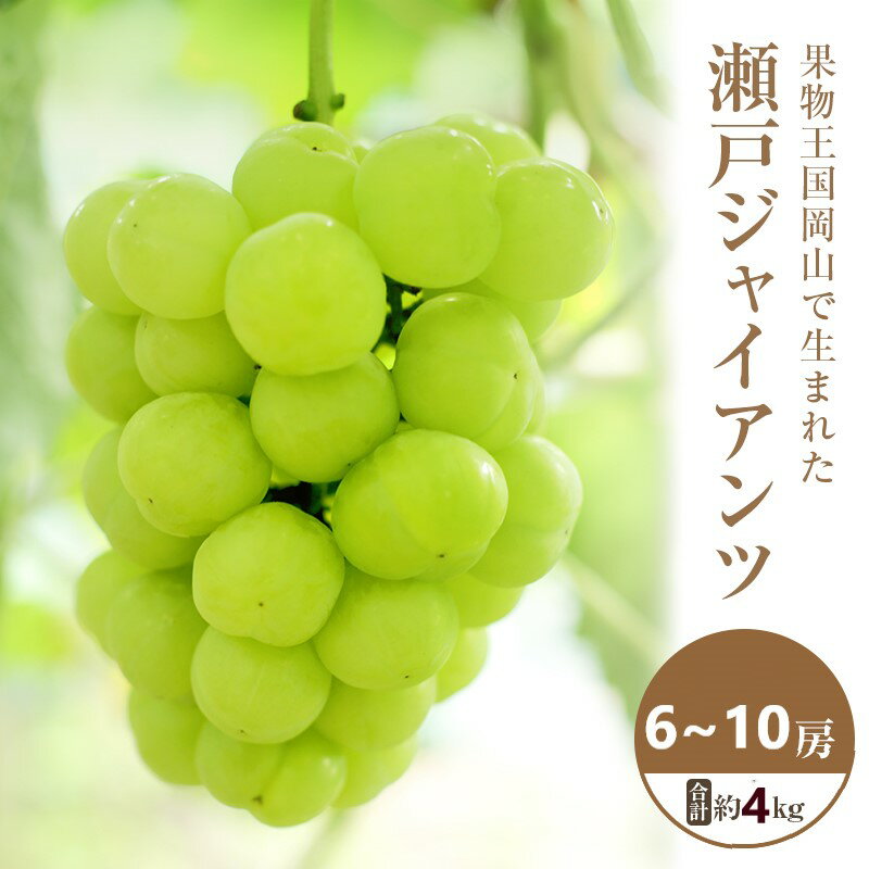【ふるさと納税】【2025年 先行予約】 瀬戸ジャイアンツ 6~10房 合計約4kg 常温配送 ぶどう 葡萄 フルーツ 果物 岡山 高梁市 お届け:2025年10月中旬~2025年11月上旬