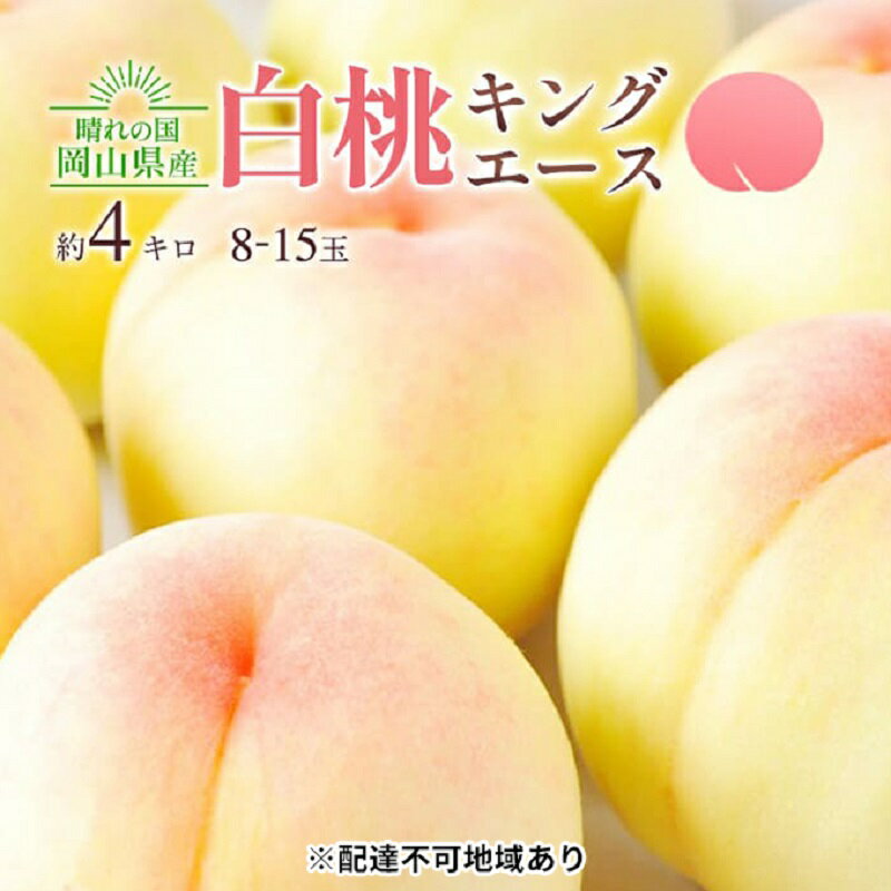 【ふるさと納税】桃 2025年 先行予約 岡山 白桃 キング・エース 約4kg 8~15玉入り もも モモ 岡山県産 国産 フルーツ 果物 ギフト 橋田商店 お届け:2025年7月上旬~2025年8月上旬