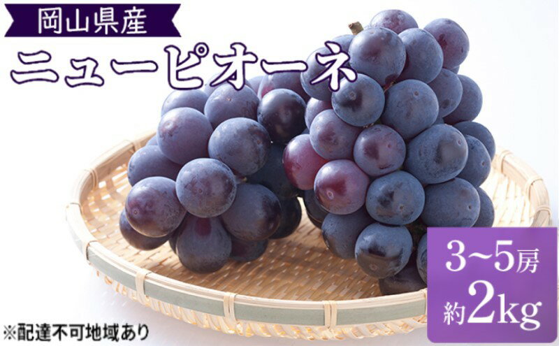 【ふるさと納税】2026年 早期受付 ぶどう 晴れの国 ピオーネ 2kg（3～5房）化粧箱入り 岡山県 高梁市 ブドウ 葡萄 果物 フルーツ　お届け：2026年9月下旬～2026年10月中旬