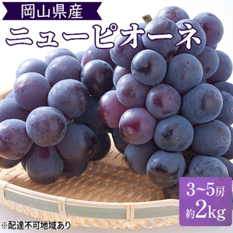 【ふるさと納税】早期受付 ぶどう 晴れの国 ピオーネ 2kg(3~5房)化粧箱入り 岡山県 高梁市 ブドウ 葡萄 果物 フルーツ お届け:2025年9月下旬~2025年10月中旬