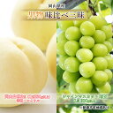 【ふるさと納税】桃 ぶどう 2025年 先行予約 果物 味比べ三昧 岡山 白桃 2玉 等級:ロイヤル(1玉220g以上) シャイン マスカット 晴王 1房 38...