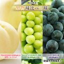 【ふるさと納税】桃 ぶどう 2026年 先行予約 果物 味比べ三昧 岡山白桃 2玉 等級:ロイヤル(1玉220g以上)シャインマスカット 晴王 1房 ニュー ピオーネ 1房 詰合せ 岡山の桃 岡山の葡萄 お届け:2026年7月上旬~2026年8月中旬|詳細画像