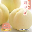【ふるさと納税】桃 2025年 先行予約 岡山 白桃 6玉 約1.4kg 等級:ロイヤル(1玉 240g以上) もも モモ 岡山県産 国産 フルーツ 果物 ギフ...