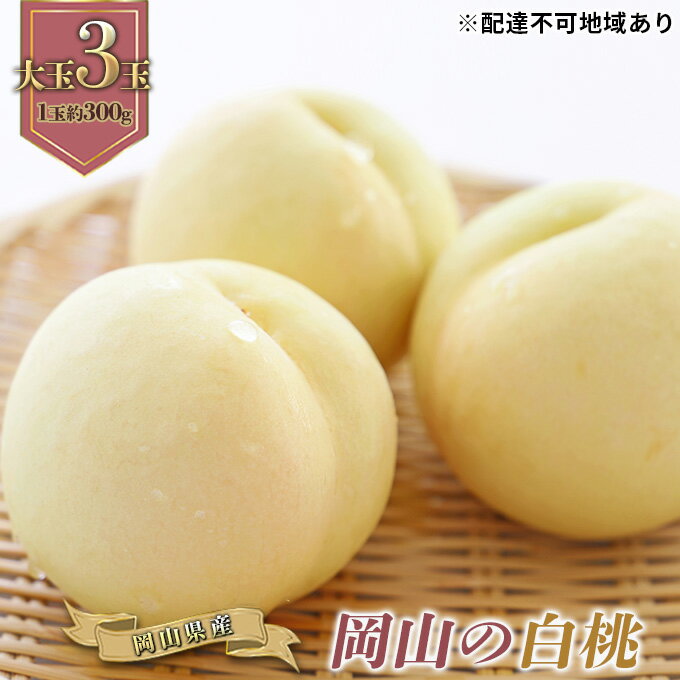 桃 2025年 先行予約 岡山の 白桃 大玉3玉(晩生種)(1玉約300g) もも モモ 岡山県産 国産 フルーツ 果物 ギフト お届け:2025年7月下旬〜2025年8月下旬