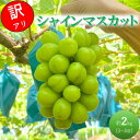 【ふるさと納税】早期受付 ぶどう シャインマスカット 3〜4房 約2kg 岡山県高梁市産 うめづぶどう園 化粧箱入り 葡萄 ブドウ 訳あり お届け:2025年9...