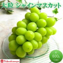 【ふるさと納税】【高島屋選定品】大房 シャインマスカット 約600g×1房 岡山県高梁市産 個装箱入り 葡萄 ブドウ 贈り物 お届け:2025年8月20日~2025年10月31日