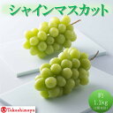 【ふるさと納税】【高島屋選定品】シャインマスカット 約1.1kg(2房合計)岡山県高梁市産 個装箱入り 葡萄 ブドウ 贈り物 お届け:2025年8月20日~2025年10月31日