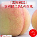 【ふるさと納税】【高島屋選定品】「雲岡園芸」雲岡健二さんの白桃 6~10玉(約2kg) もも モモ 岡山県産 国産 フルーツ 果物 ギフト お届け:2025年7月15日~2025年8月15日(4)