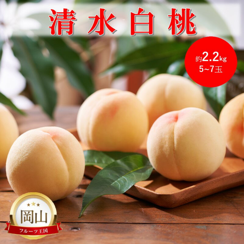 2026年 早期受付 岡山県産 清水白桃 (約2.2kg)5〜7玉 桃 白桃 もも 果物 フルーツ お届け:2026年7月中旬〜2026年8月上旬