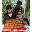 【ふるさと納税】桃太郎トマト 約4kg 野菜 トマト とまと 岡山県 高梁市産 産地直送 お届け:2025年8月上旬~2025年10月下旬