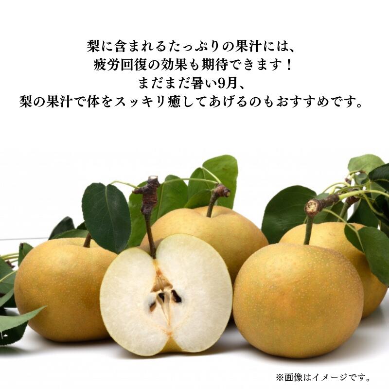 岡山県新見市の画像3