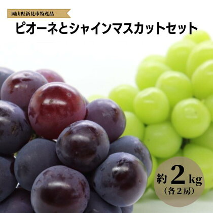 ピオーネ2房とシャインマスカット2房（計4房）約2kg 大原観光果樹園 【先行予約】