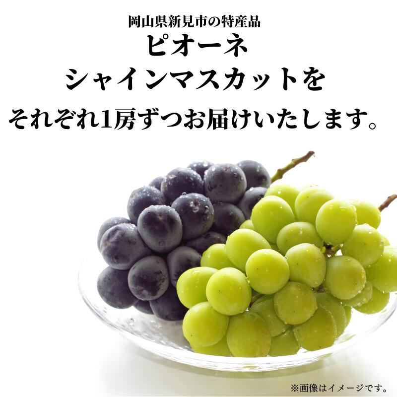 【ふるさと納税】先行予約 ピオーネ ニューピオーネ シャインマスカット セット 1.2kg 2房 種無し 食べ比べ おすすめ 人気 美味しい 甘い プレゼント お裾分け ギフト 贈り物 贈答 贈答用 夏の贈り物 岡山 新見 美味しい 産地 特産品 A級食材 フルーツ 果物 少量